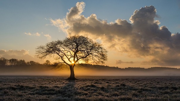 La politique climatique sous la loupe de la Cour européenne des droits de l'Homme